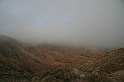 Kanary_2010 004